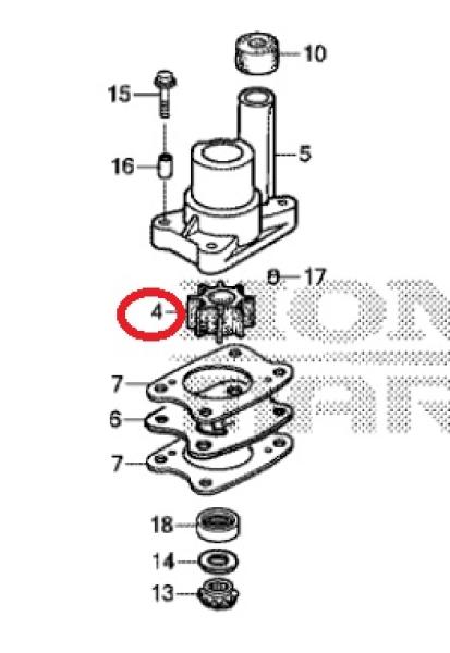 Impeller 19210-ZVD-003